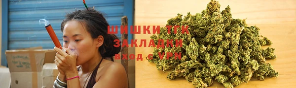 ALPHA PVP Гусев