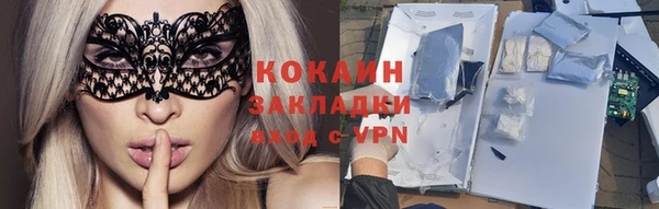шишки Гусь-Хрустальный