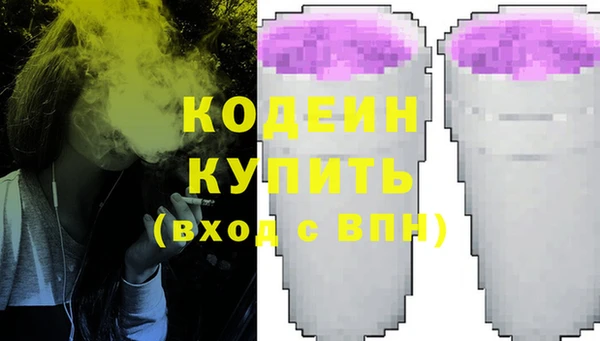 шишки Гусь-Хрустальный
