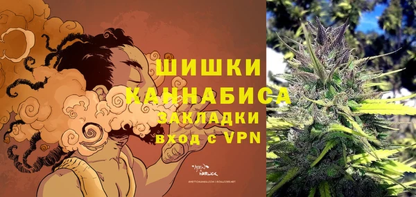 шишки Гусь-Хрустальный
