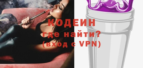 шишки Гусь-Хрустальный