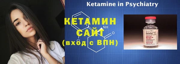 шишки Гусь-Хрустальный