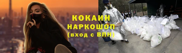 шишки Гусь-Хрустальный