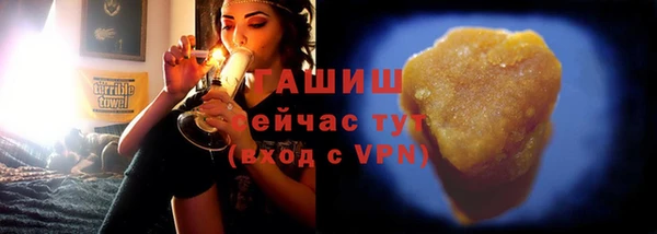 шишки Гусь-Хрустальный