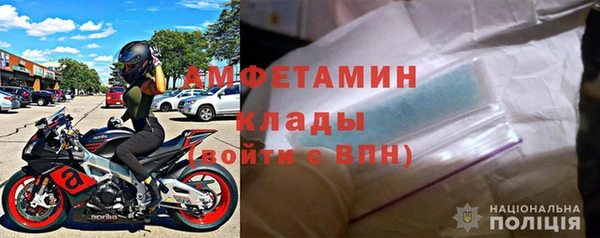 шишки Гусь-Хрустальный