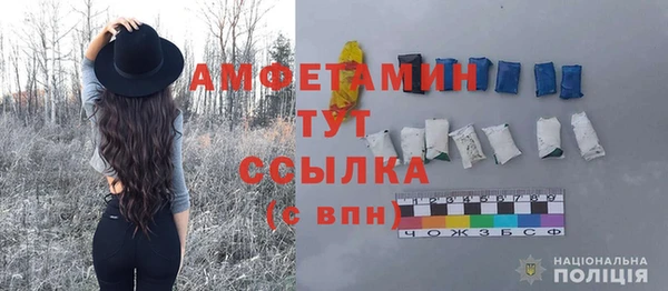 шишки Гусь-Хрустальный