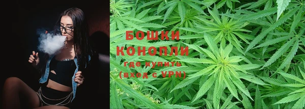 шишки Гусь-Хрустальный