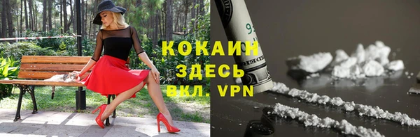 ALPHA PVP Гусев